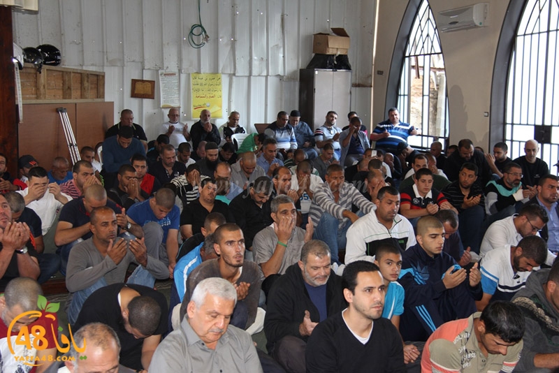 ra2ed fat7iya (4).JPG